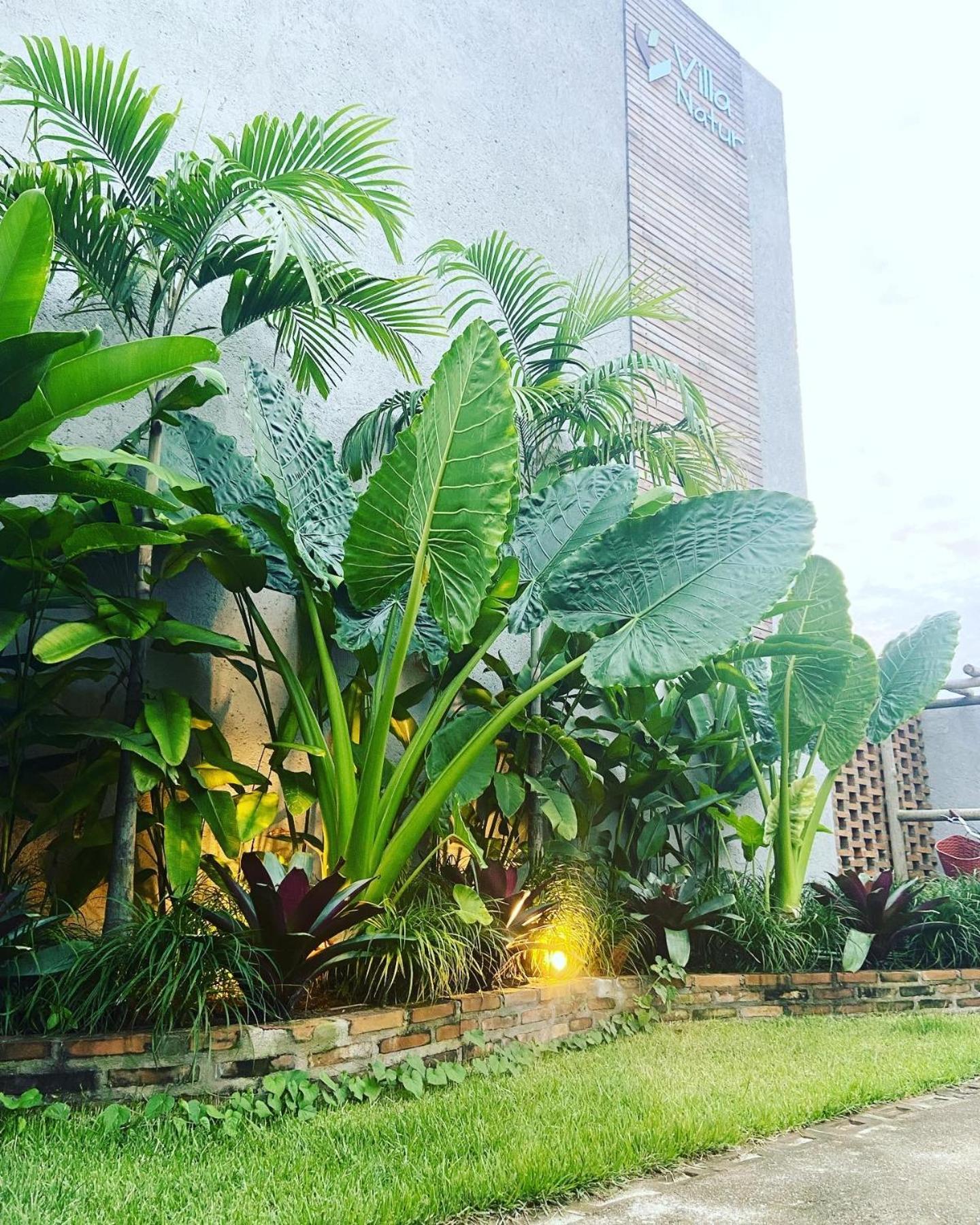 Vilarejo Dos Milagres Sao Miguel dos Milagres Ngoại thất bức ảnh